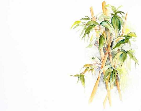 Haiku:  Poet's Heart