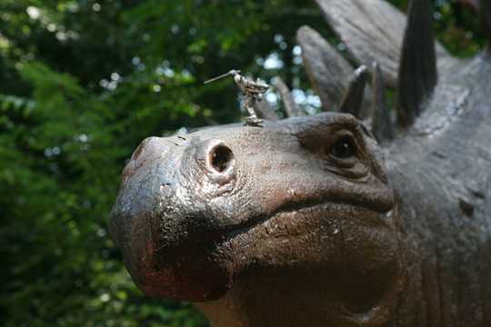Atlanta, Georgia – Fernbank Museum