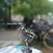 Amsterdam, Netherlands – Land of Bicycles